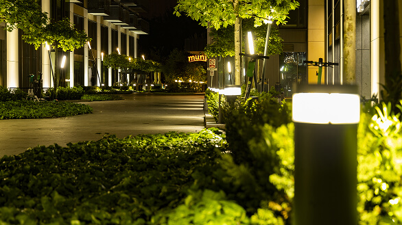 Hardscape & Lighting