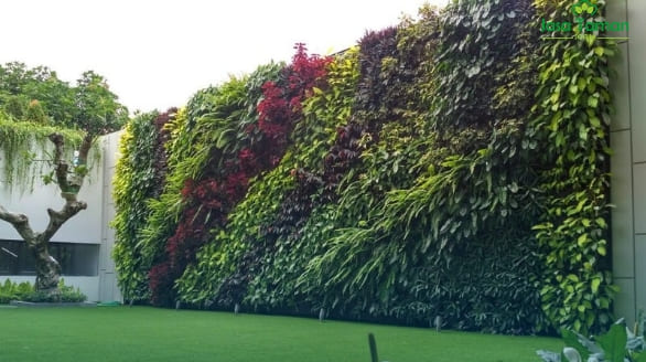 Vertical Garden Wall