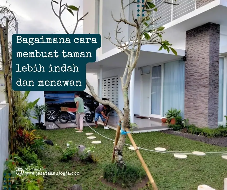 Bagaimana Cara Membuat Taman yang Indah dan Menawan