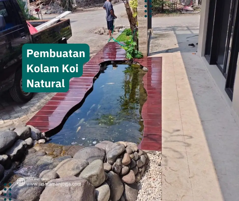 Pembuatan Kolam Koi Natural