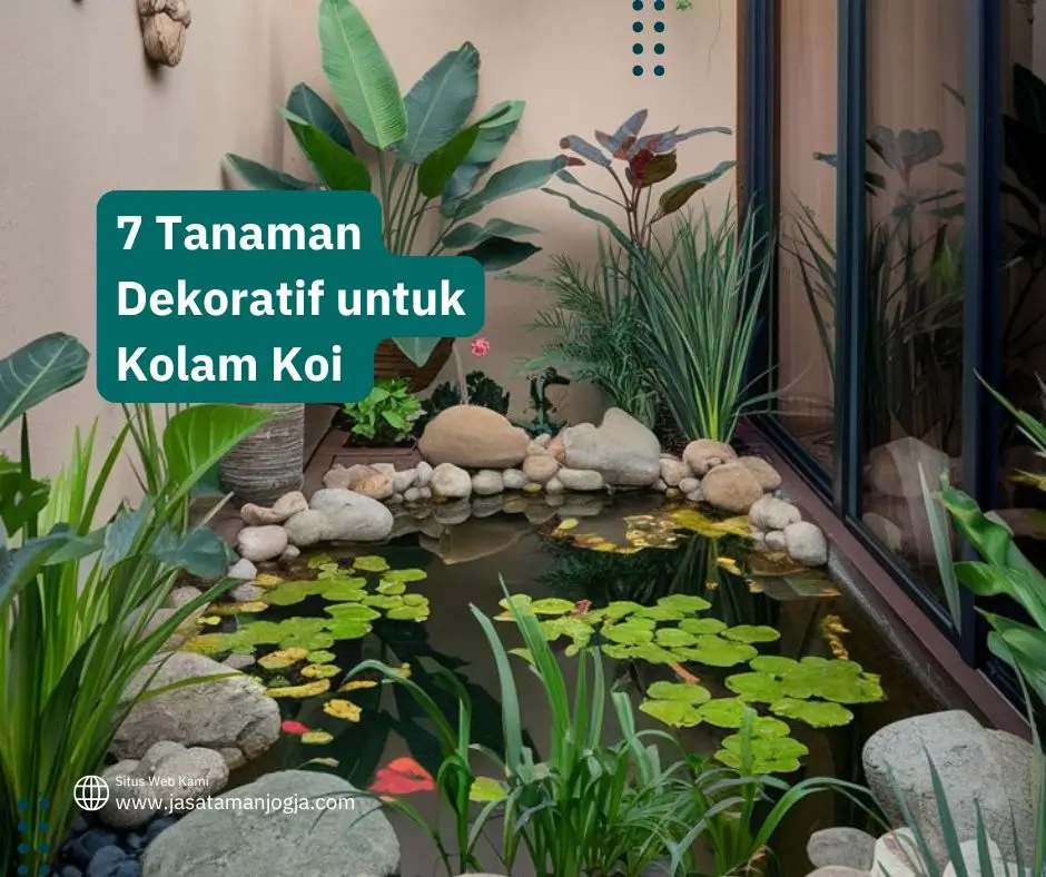 Tanaman Dekoratif untuk Kolam Koi