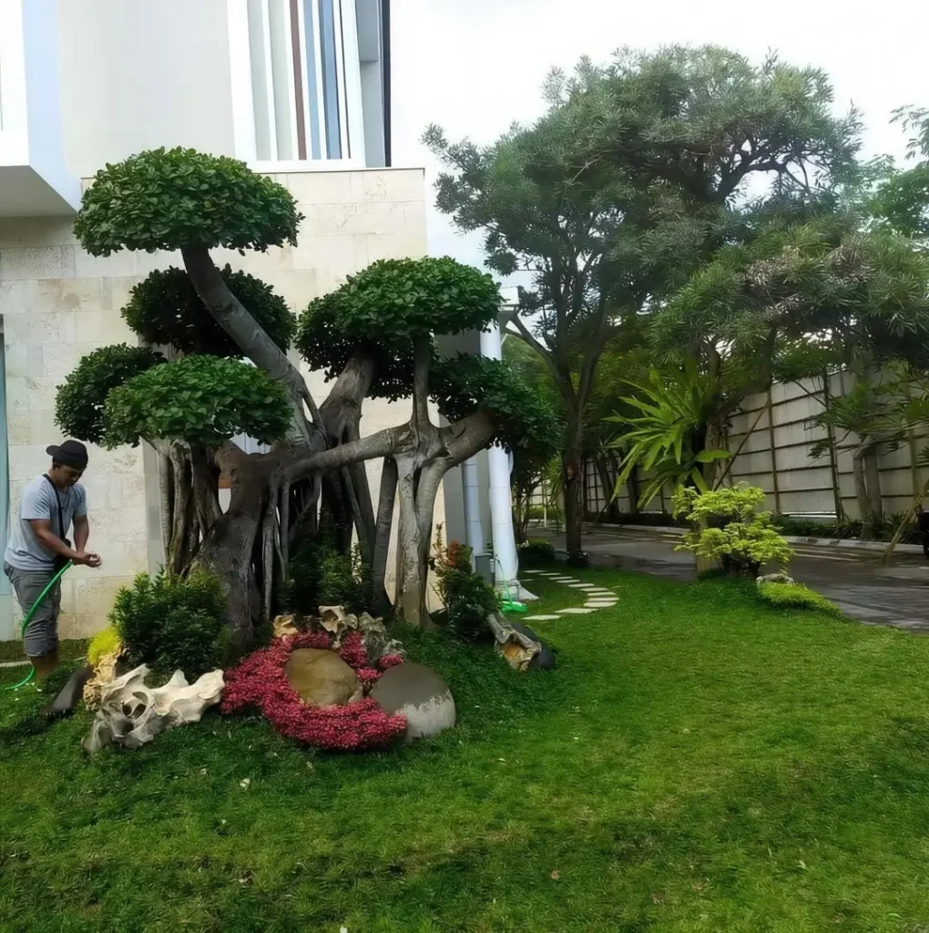 Jasa Taman Jogja Profesional dengan Desain Estetik dan Harga Transparan