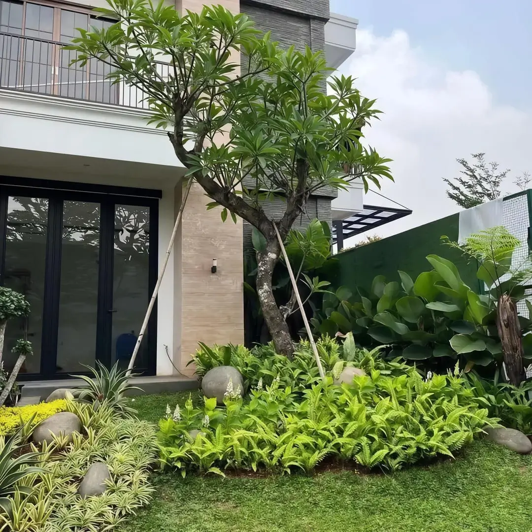 Tropical Garden Services